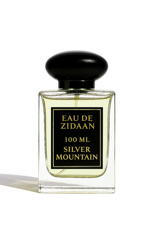 SILVER MOUNTAIN