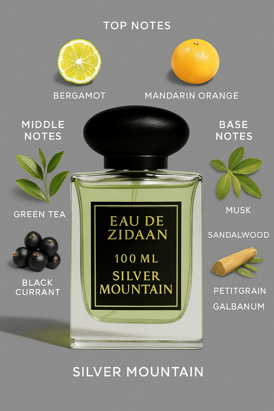 SILVER MOUNTAIN